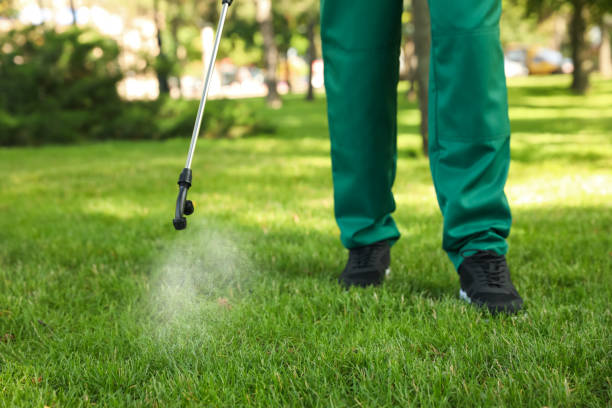 Best Exterminator Services  in Westphalia, MD
